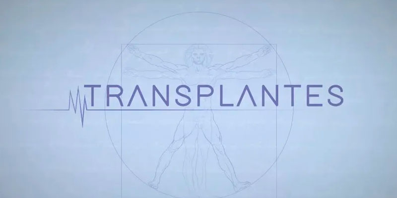 Transplantes na Watch BR