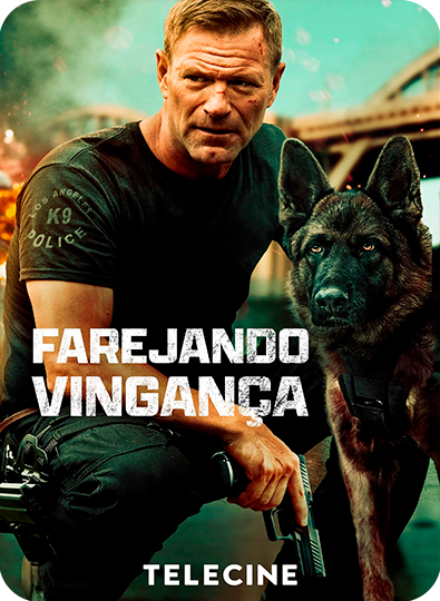 Farejando Vingança_ provedores